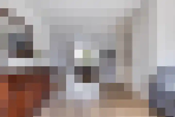 Speltakker 22 Heino thumbnail 8