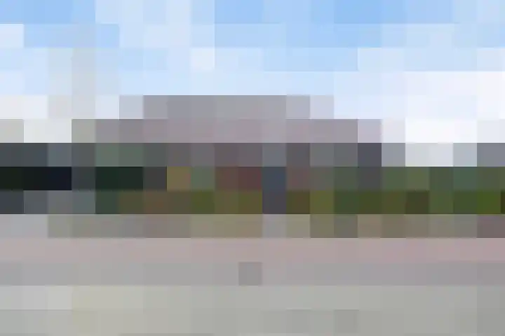 Speltakker 3 Heino