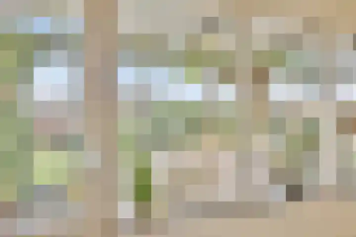 Speltakker 3 Heino thumbnail 14