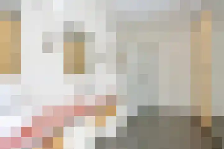 Speltakker 3 Heino thumbnail 19