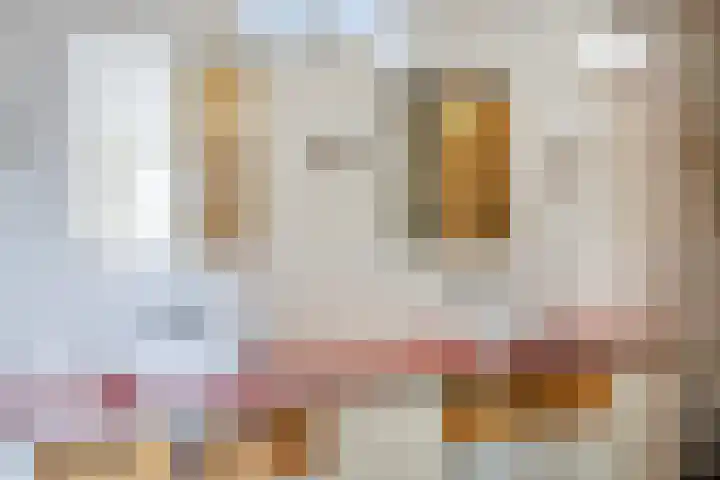 Speltakker 3 Heino thumbnail 21