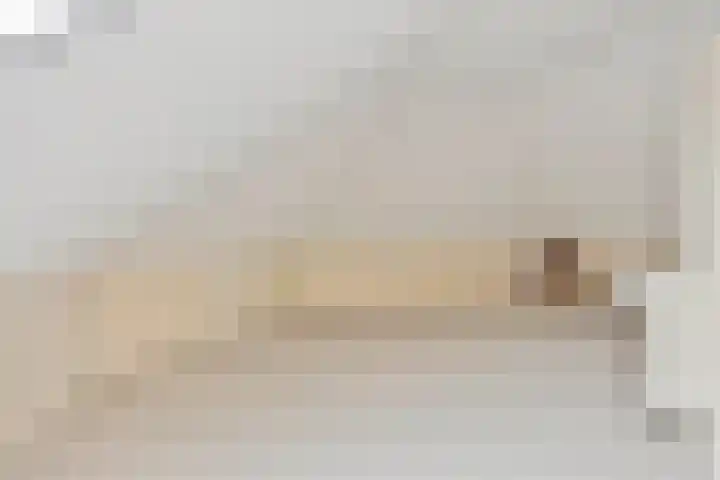Speltakker 3 Heino thumbnail 27