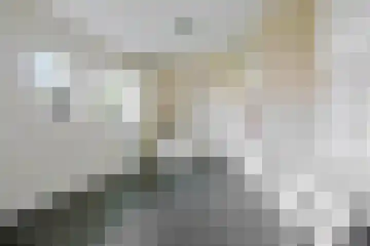 Speltakker 3 Heino thumbnail 29