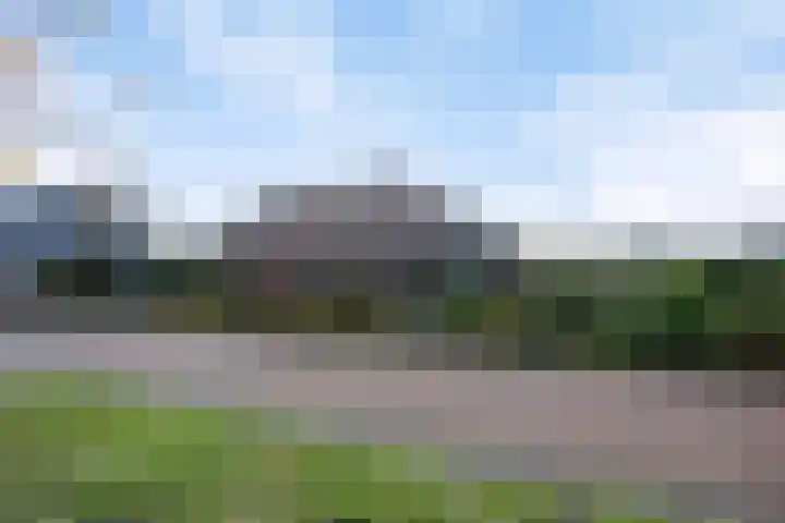 Speltakker 3 Heino foto 3