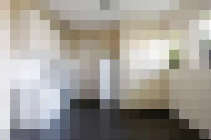 Speltakker 3 Heino thumbnail 30