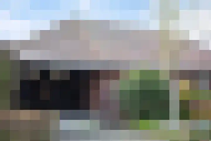 Speltakker 3 Heino thumbnail 32
