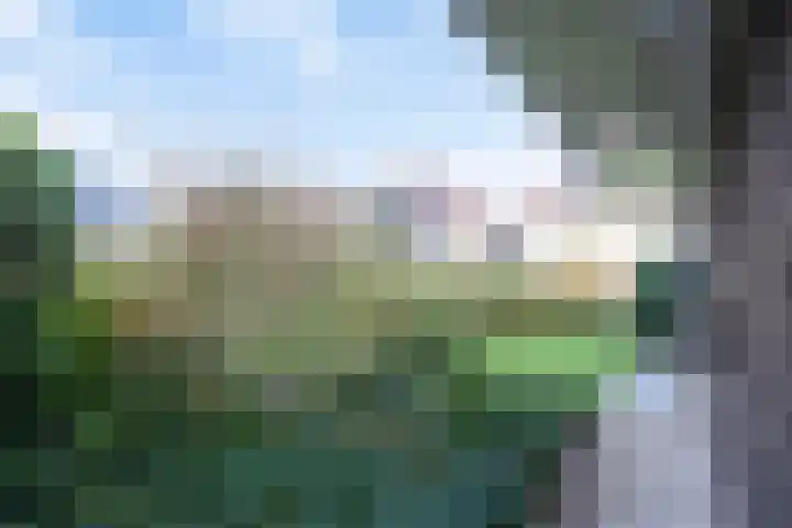 Speltakker 3 Heino thumbnail 33