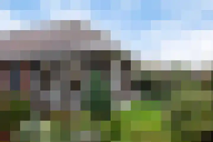 Speltakker 3 Heino thumbnail 34