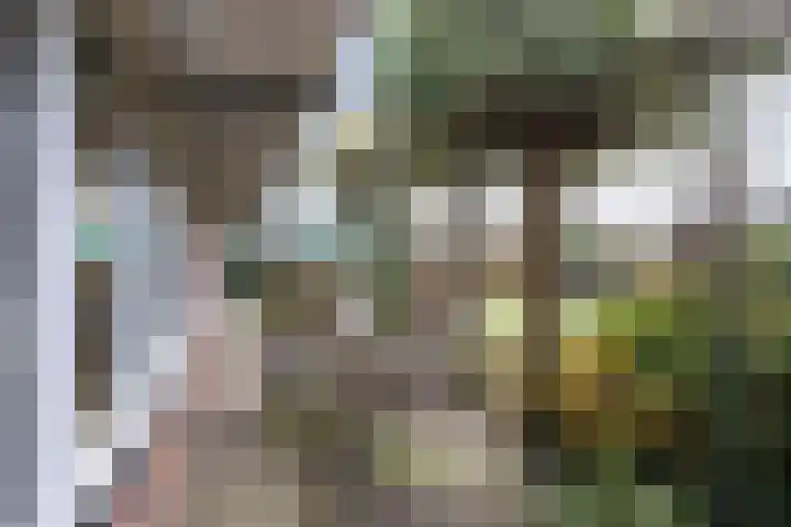 Speltakker 3 Heino thumbnail 37