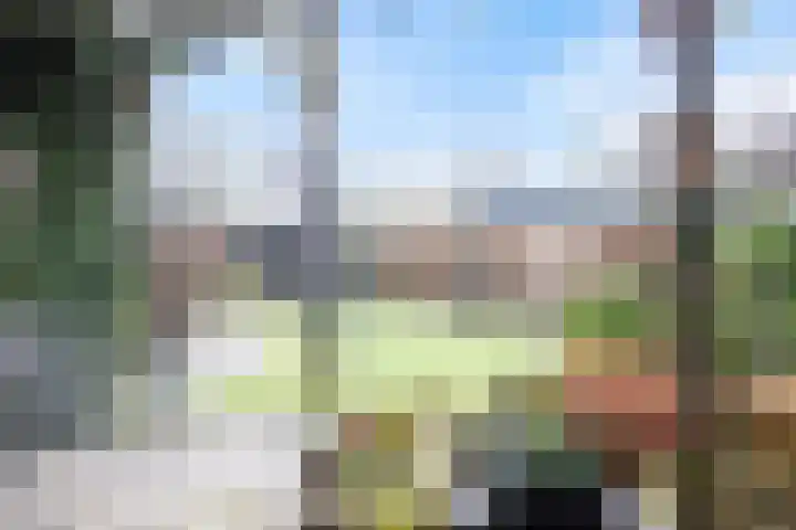 Speltakker 3 Heino thumbnail 38