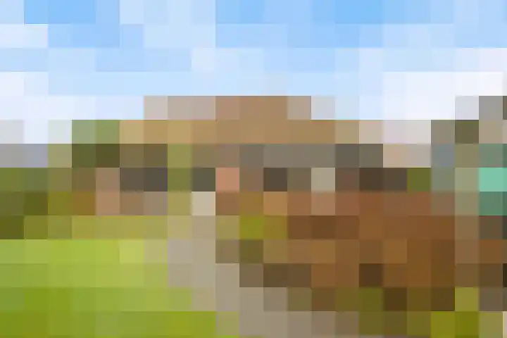 Speltakker 3 Heino thumbnail 40