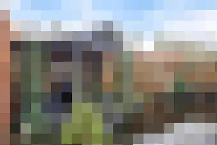 Speltakker 3 Heino thumbnail 41