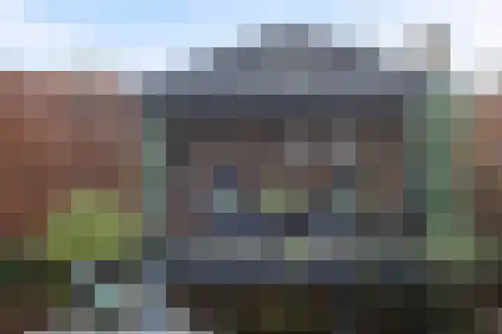 Speltakker 3 Heino thumbnail 42