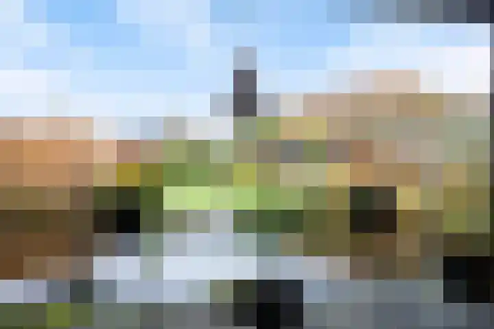 Speltakker 3 Heino thumbnail 43