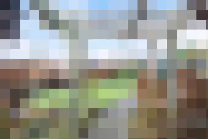 Speltakker 3 Heino thumbnail 44