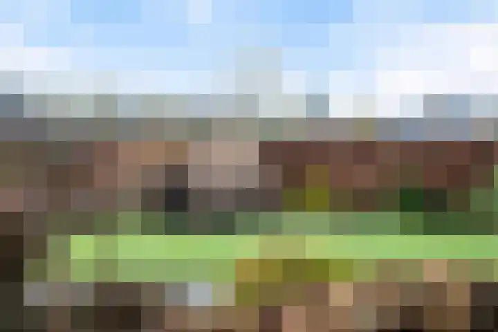 Speltakker 3 Heino thumbnail 45