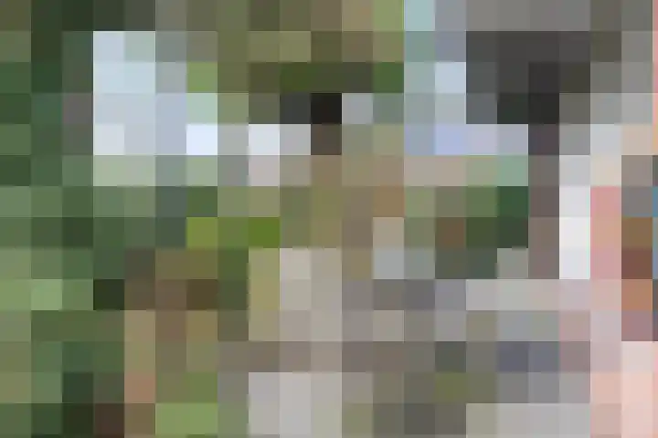 Speltakker 3 Heino thumbnail 46