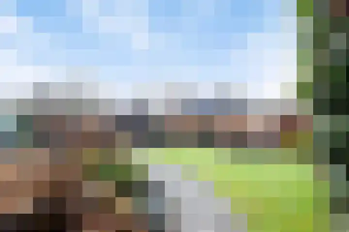 Speltakker 3 Heino thumbnail 47