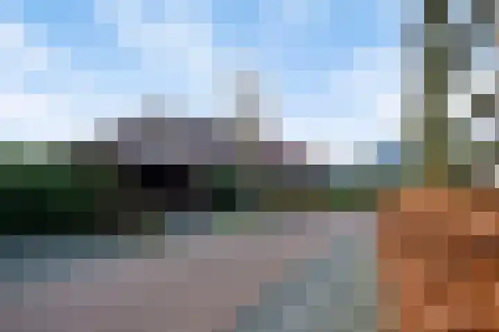 Speltakker 3 Heino thumbnail 49