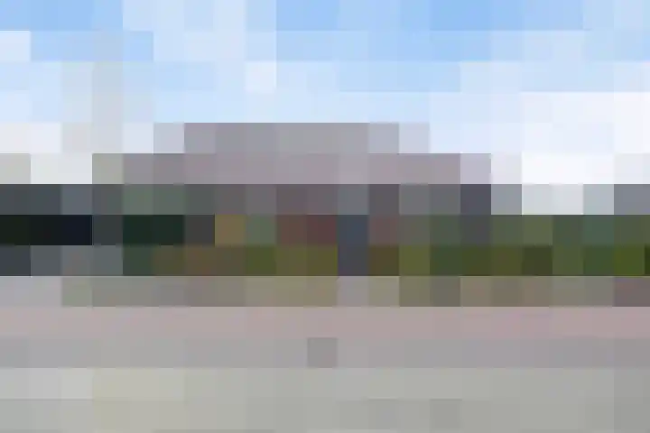 Speltakker 3 Heino thumbnail 50