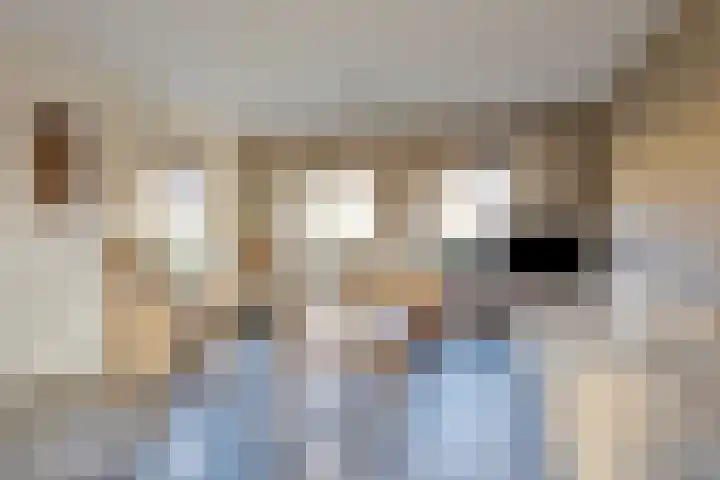 Speltakker 3 Heino thumbnail 6