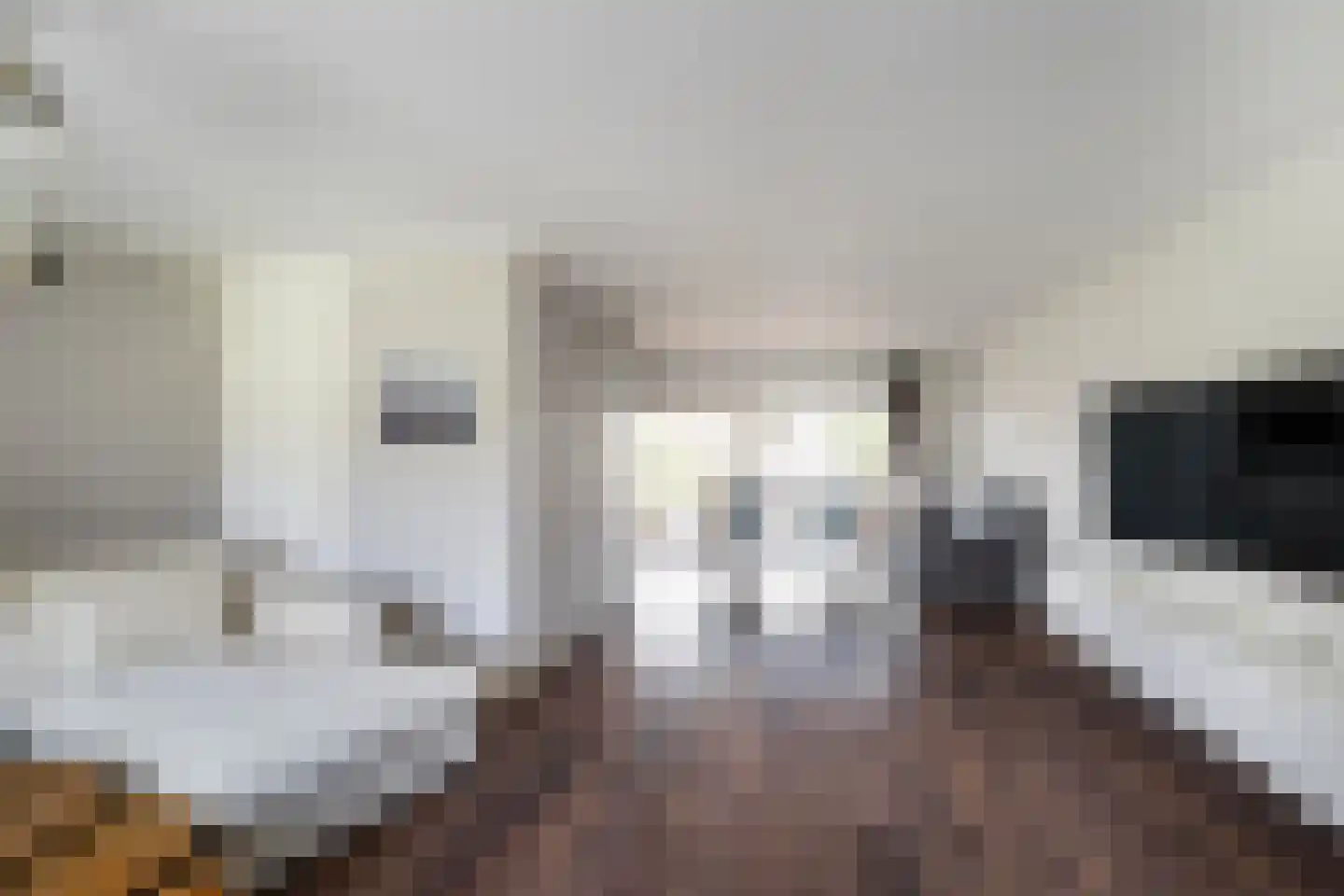 Speltakker 36 Schiedam thumbnail 6
