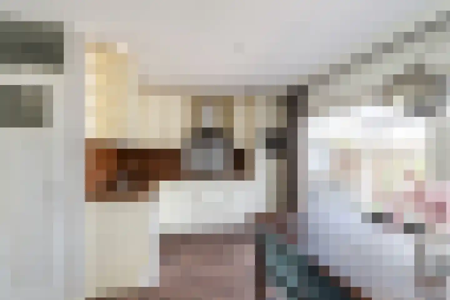 Speltakker 36 Schiedam thumbnail 8