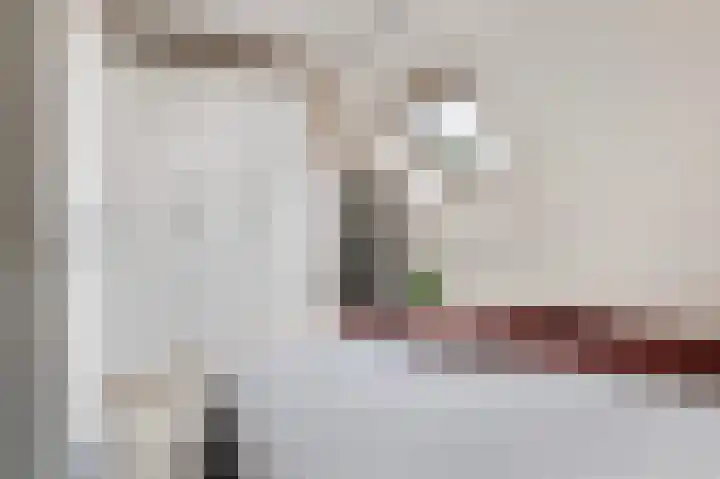 Speltstraat 13 Markelo thumbnail 13