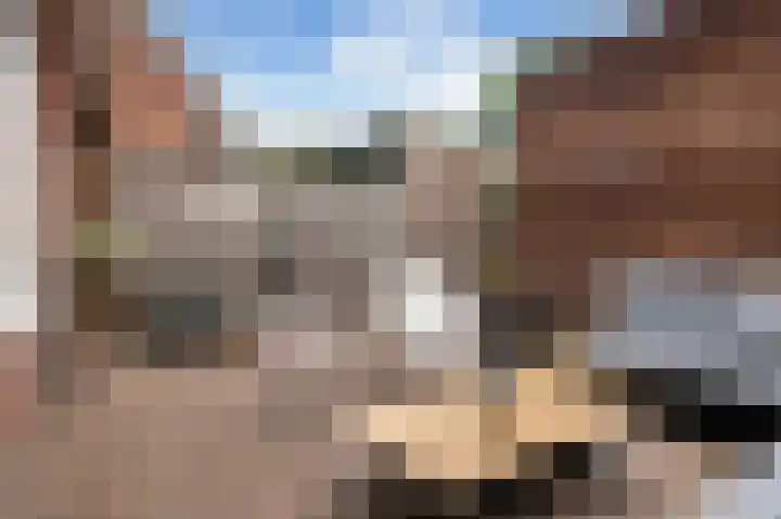 Speltstraat 13 Markelo thumbnail 17