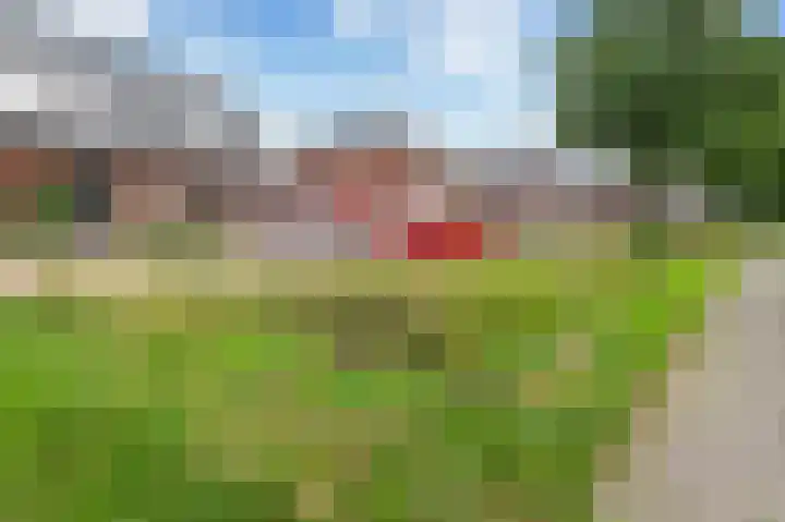 Speltstraat 13 Markelo thumbnail 20