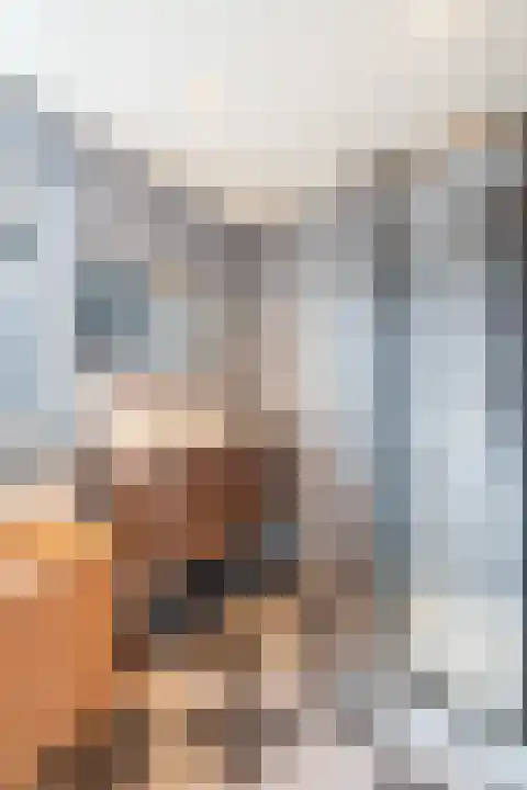 Speltstraat 6 Haler thumbnail 18