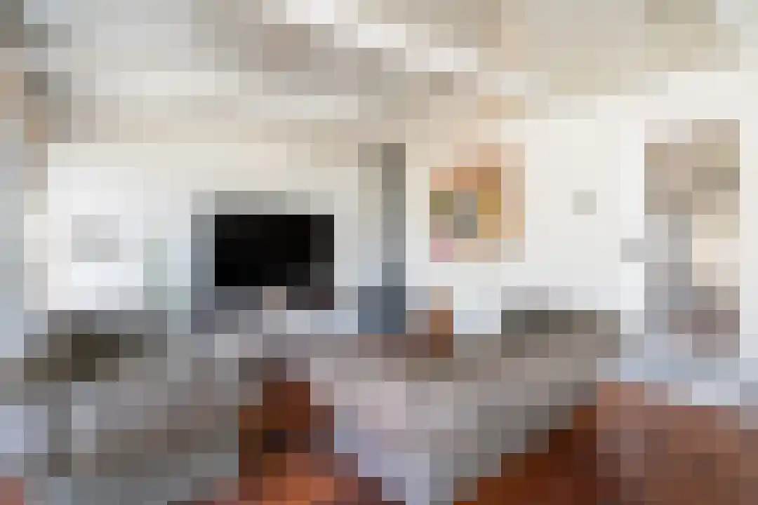 Speltstraat 6 Haler thumbnail 21