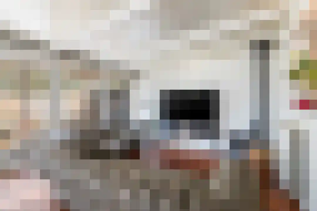 Speltstraat 6 Haler thumbnail 22