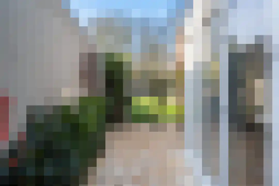 Speltstraat 6 Haler thumbnail 32