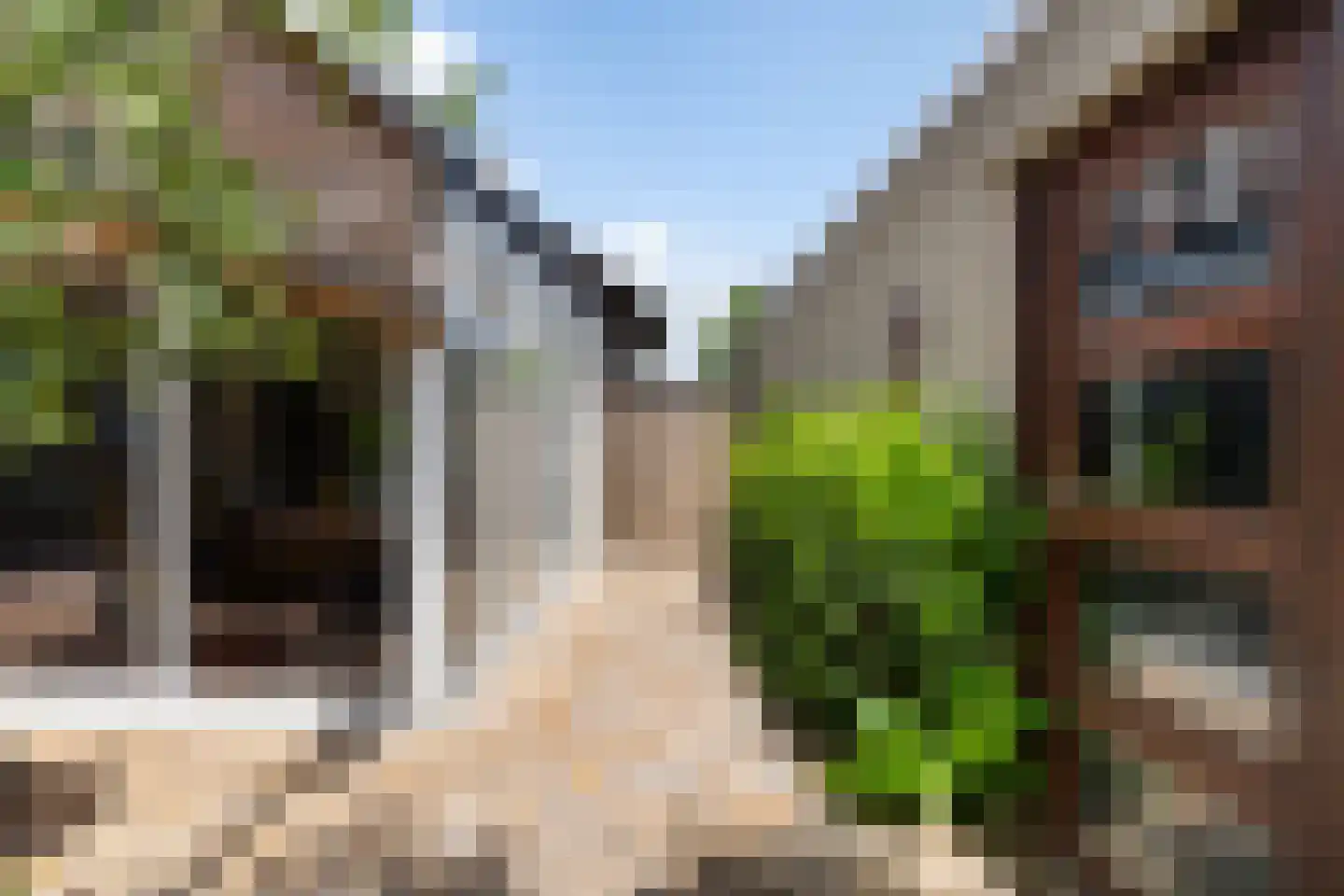 Speltstraat 6 Haler thumbnail 34