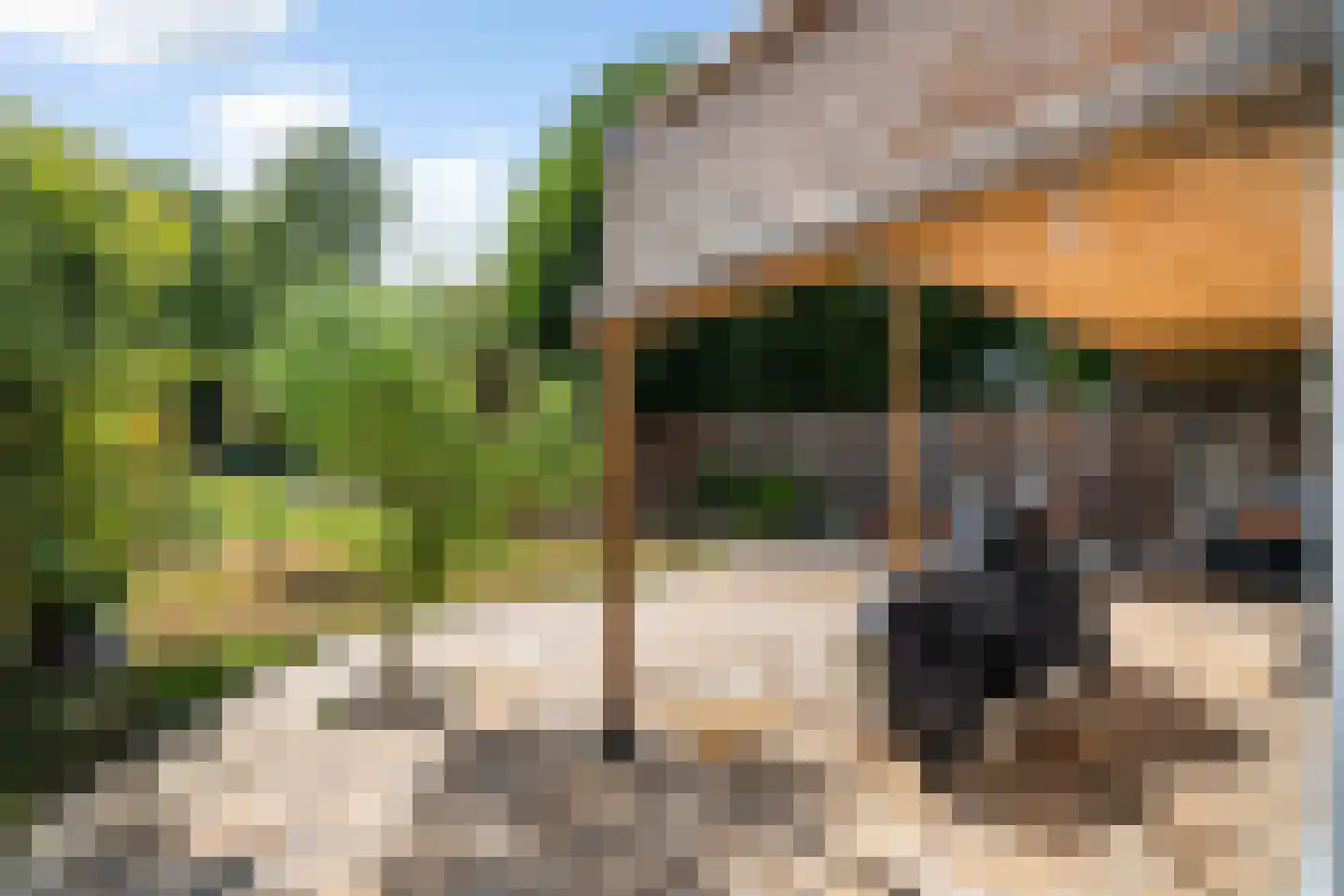 Speltstraat 6 Haler thumbnail 35