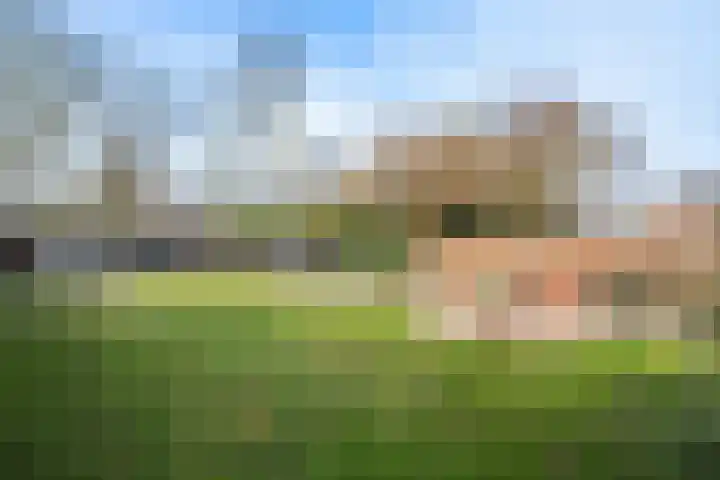 Speltstraat 6 Haler thumbnail 36