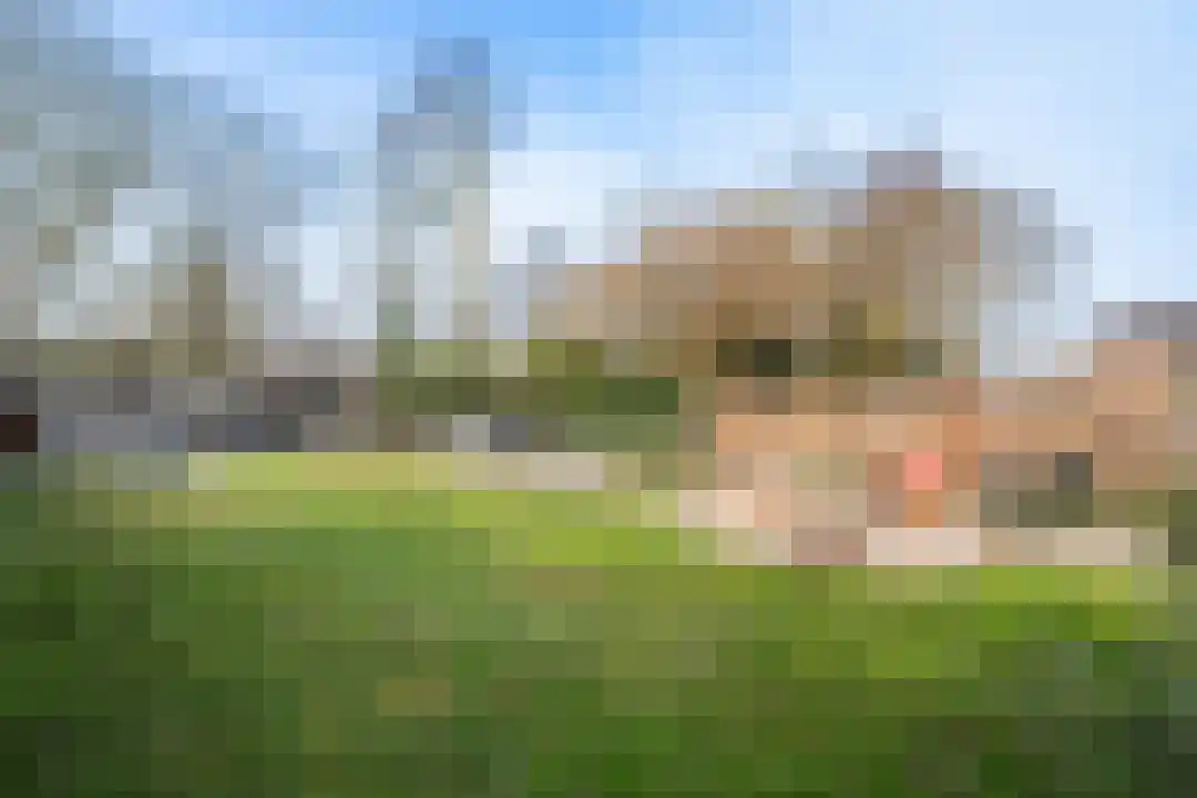 Speltstraat 6 Haler thumbnail 38