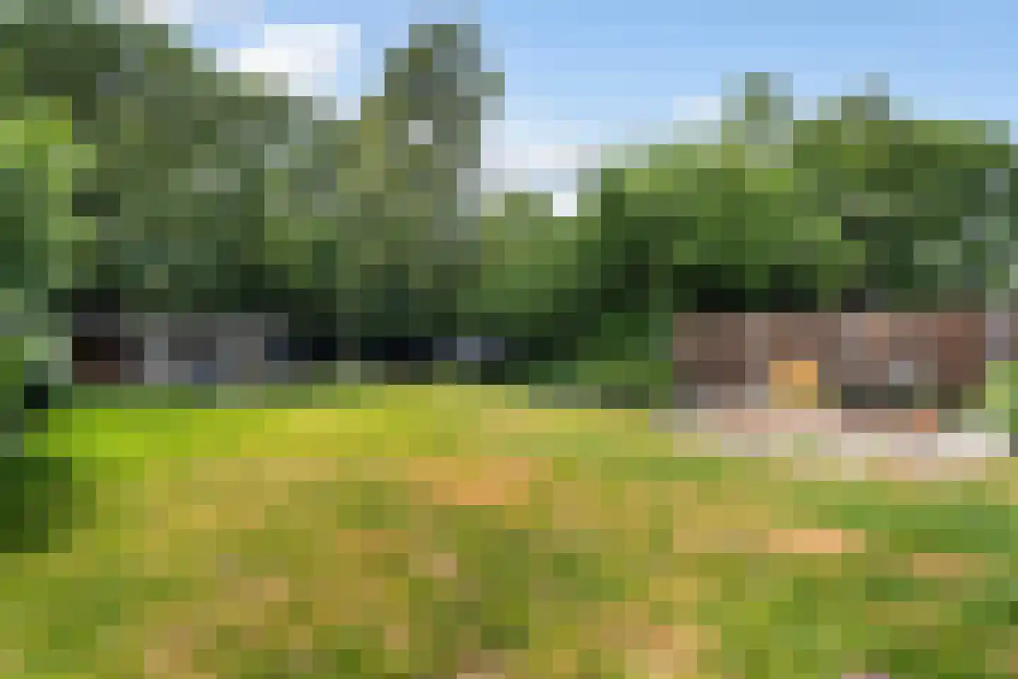 Speltstraat 6 Haler thumbnail 38