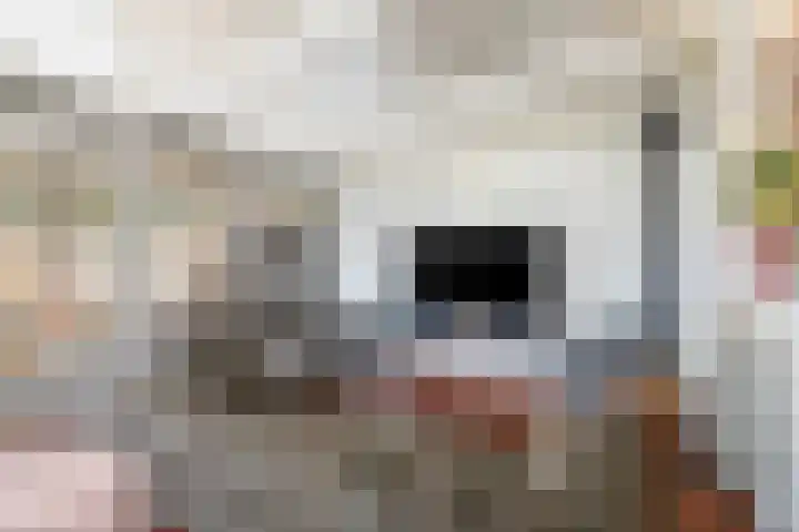 Speltstraat 6 Haler thumbnail 4