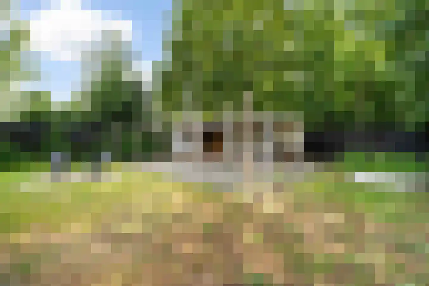Speltstraat 6 Haler thumbnail 41