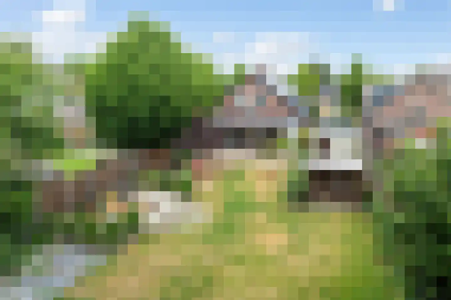 Speltstraat 6 Haler thumbnail 42