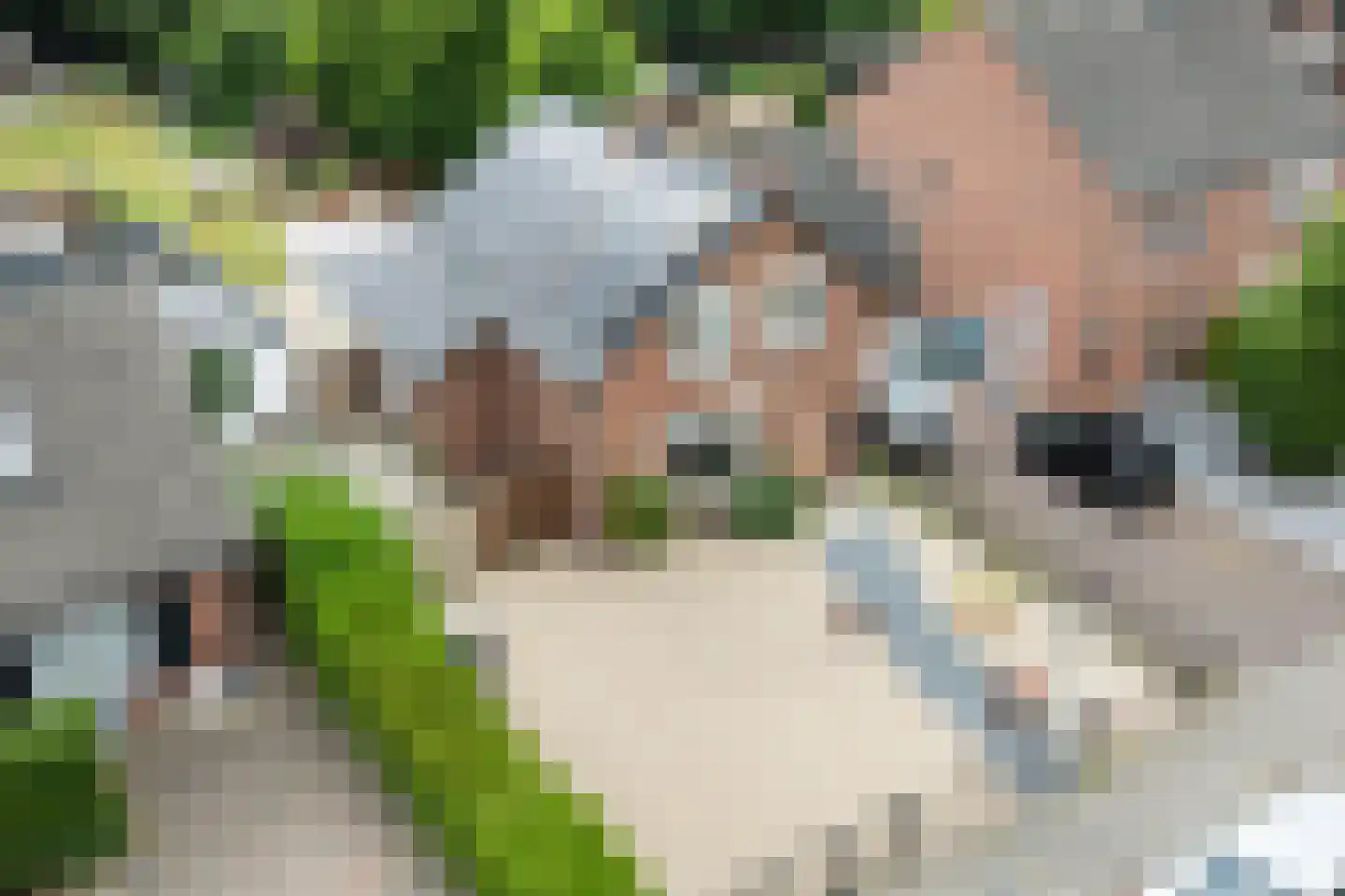 Speltstraat 6 Haler thumbnail 45