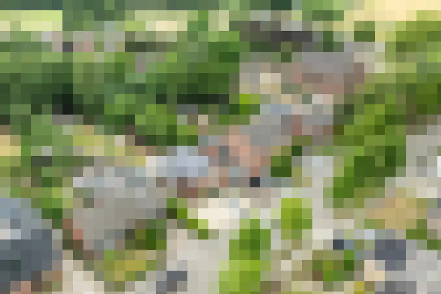 Speltstraat 6 Haler thumbnail 46