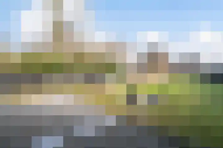 Speltstraat 6 Haler thumbnail 5