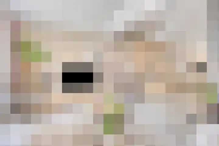 Speltveld 14 Beneden-Leeuwen thumbnail 11