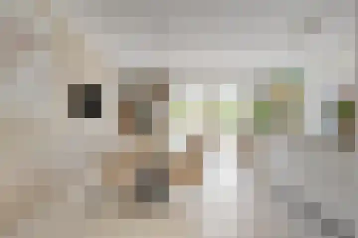 Speltveld 14 Beneden-Leeuwen thumbnail 14