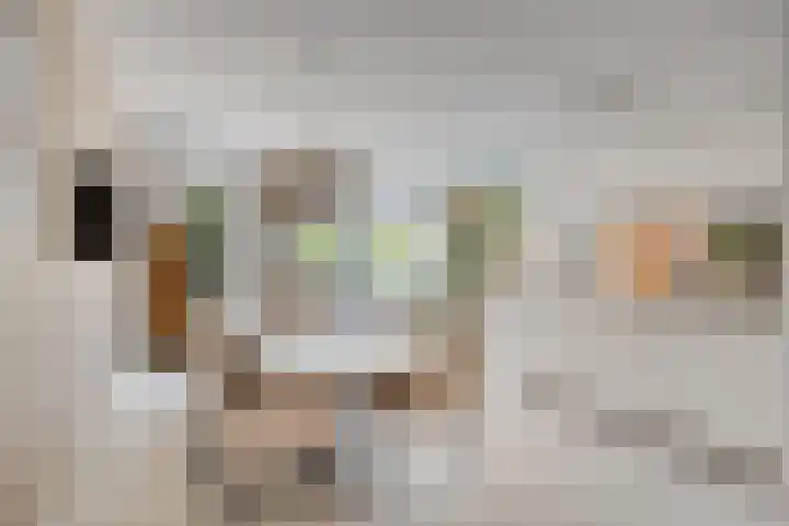 Speltveld 14 Beneden-Leeuwen thumbnail 15