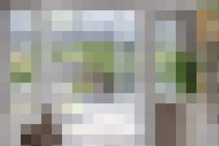 Speltveld 14 Beneden-Leeuwen thumbnail 17