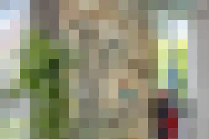 Speltveld 14 Beneden-Leeuwen thumbnail 18